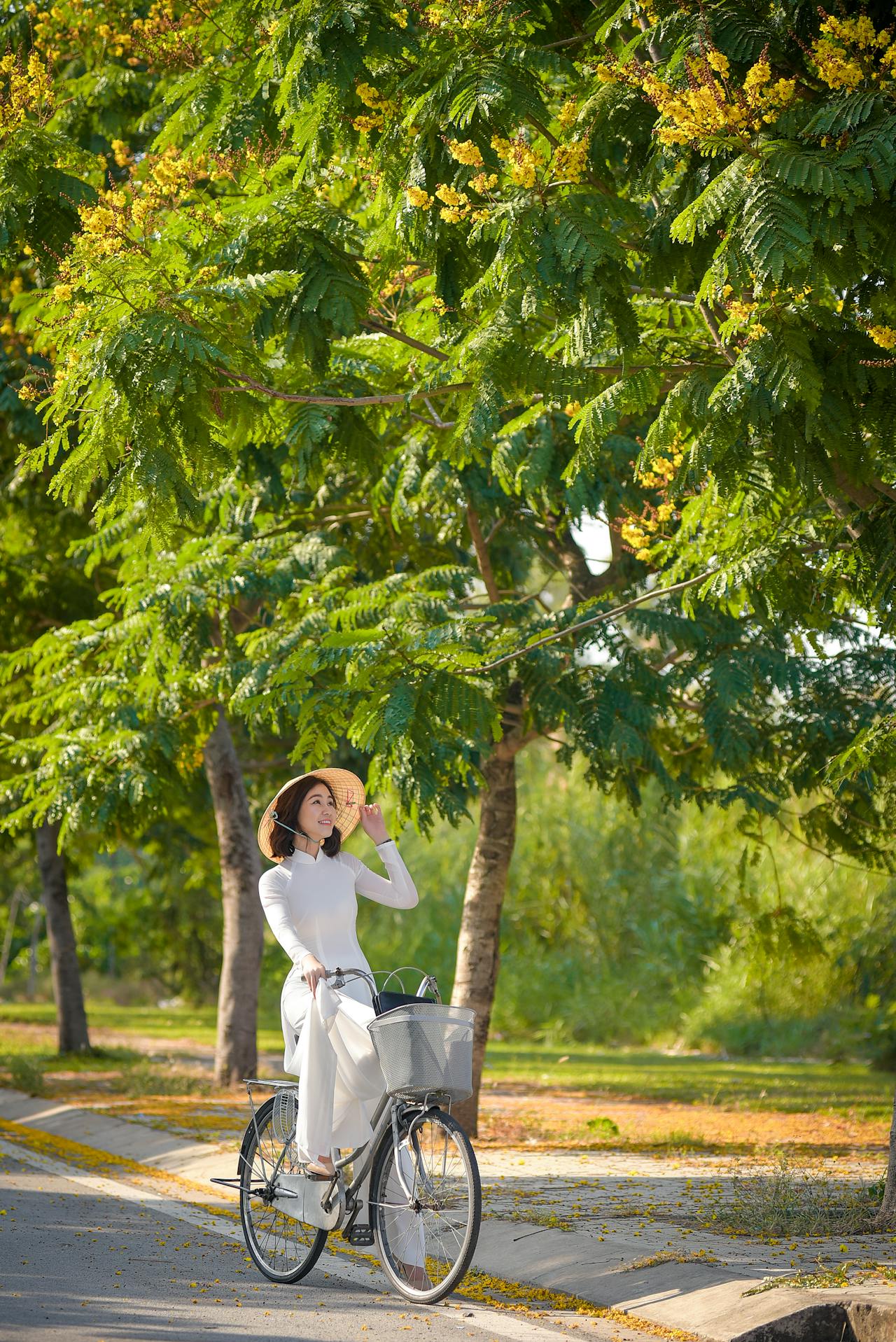 Thiếu nữ, cô gái, áo dài, truyền thống, xe đạp, young lady, girl, ao dai, tradition, bicycle - Phát trương