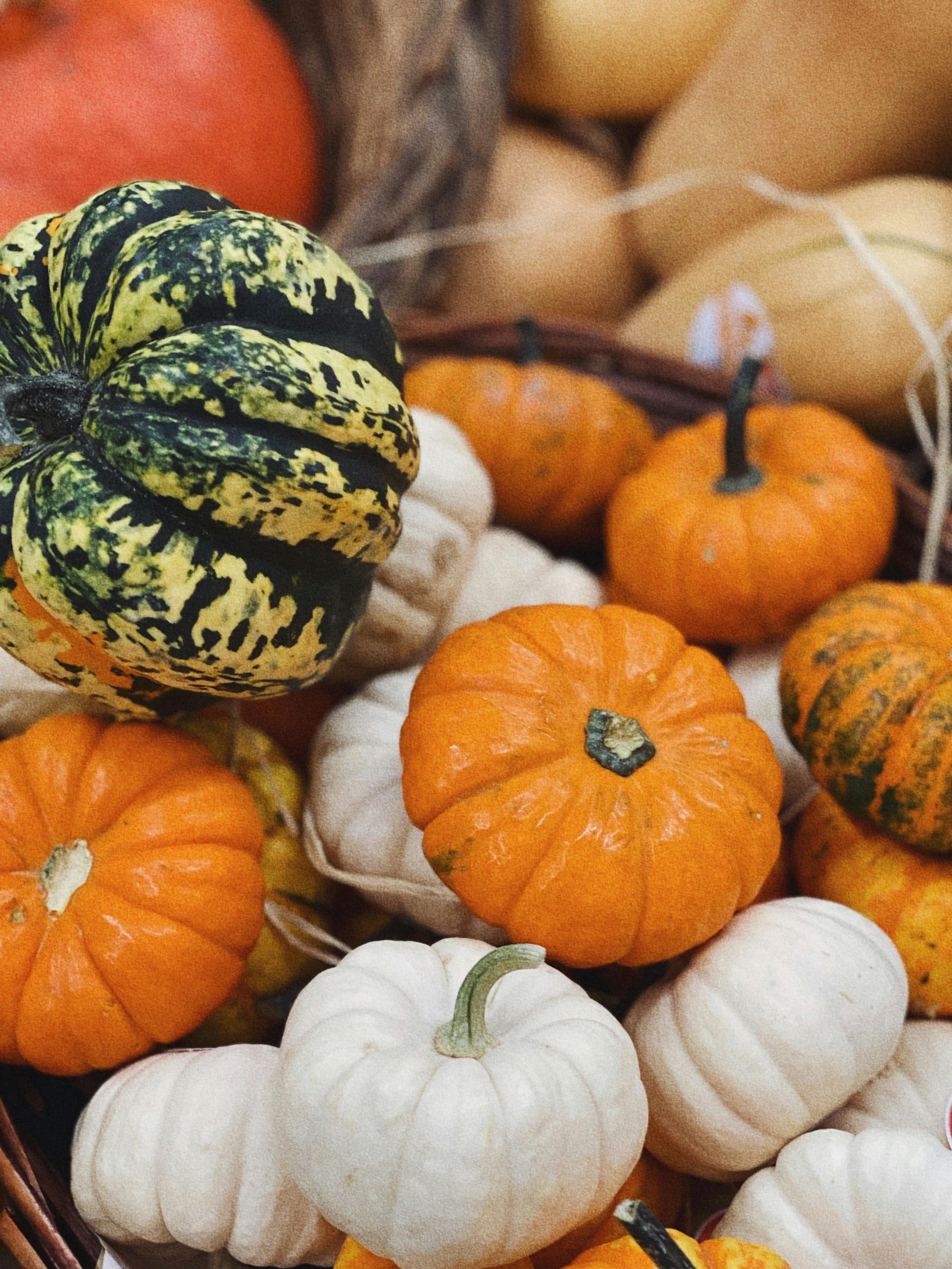 Bí đỏ, halloween, trang trí, không khí halloween, mùa thu, pumpkin, halloween, decoration, halloween atmosphere, autumn - Karola G 5