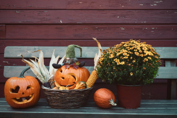 Bí đỏ, halloween, trang trí, kinh dị, không khí halloween, mùa thu, pumpkin, halloween, decoration, halloween atmosphere, autumn - Karola G 7