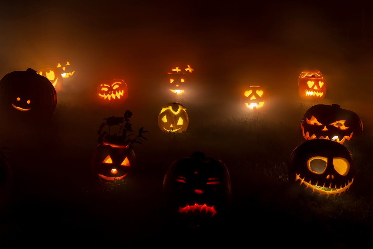 Bí đỏ, đèn bí đỏ, trang trí lễ hội halloween, ánh sáng, kinh dị, đêm tối, pumpkin lantern, halloween decoration, light, horror, dark night - Karola G 5