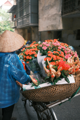 Xe hoa, xe bán hoa, Hà Nội, Việt Nam, phong cảnh Việt Nam, flower - Thuan Pham