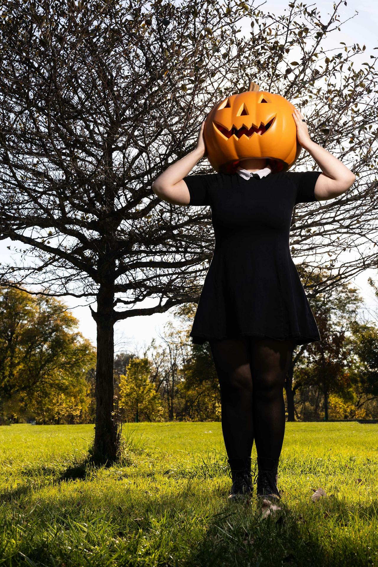 Lễ hội hóa trang, nhân vật , kinh dị, khuôn mặt bí đỏ, halloween, character, horror, pumpkin face - Toni Ferreira