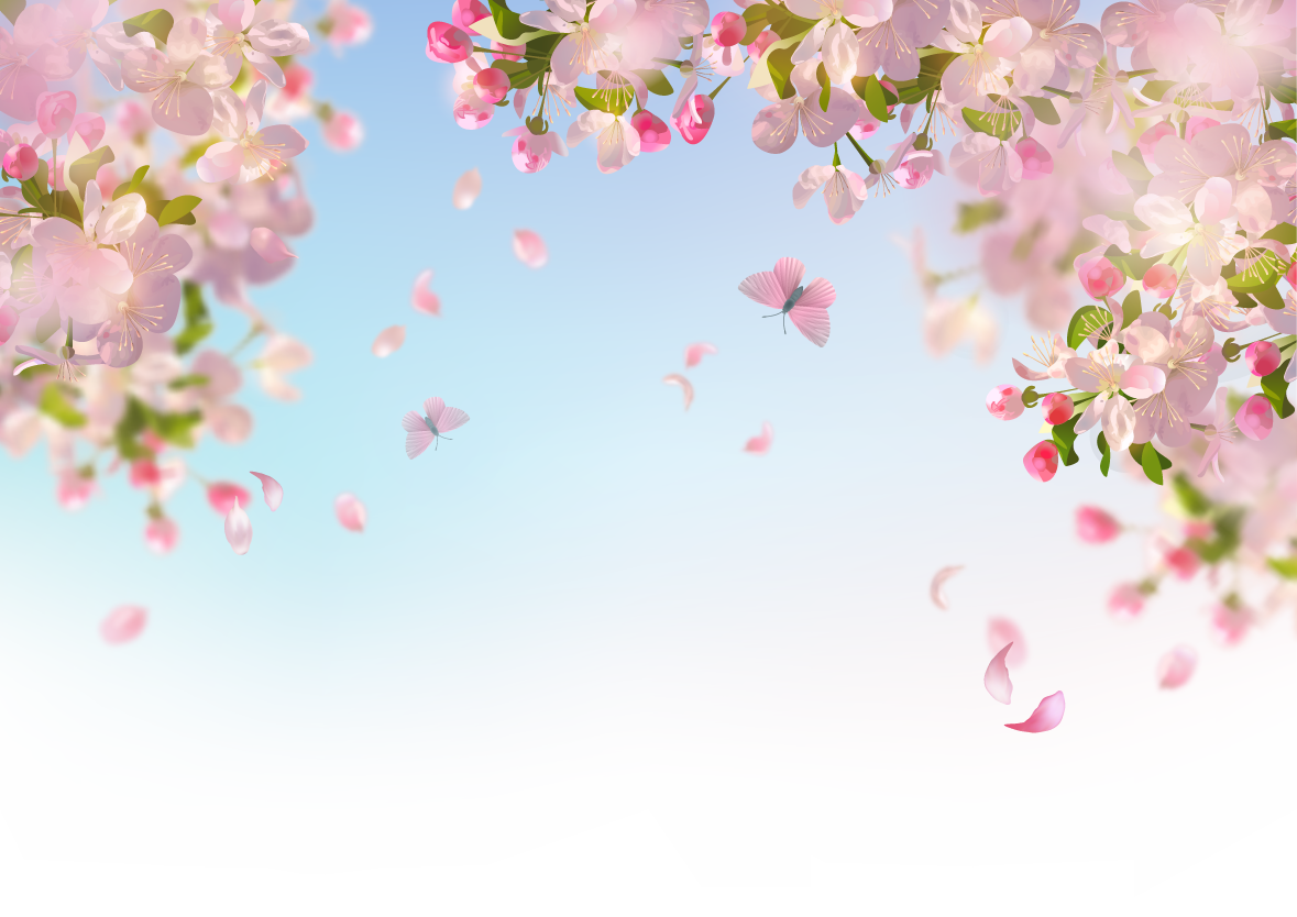 Hoa anh đào, hoa đào, anh đào, cherry blossom, hoa, flower, mùa xuân, spring
