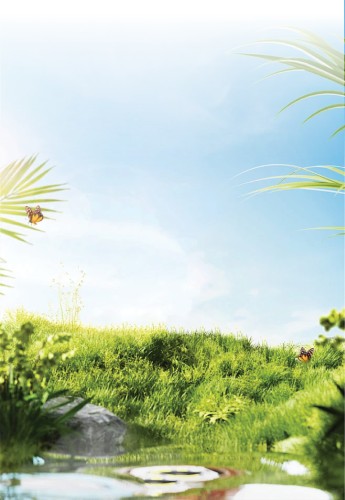 Thiên nhiên, natural, đồng cỏ, cánh đồng, cỏ, grass, sông, bầu trời, sky, hình nền, nền, background, green