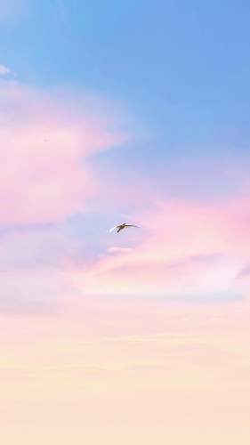 Mây, trời, màu tím, màu hồng, nền, clouds, sky, purple, pink, background -Sri Ram Kumar Tentu