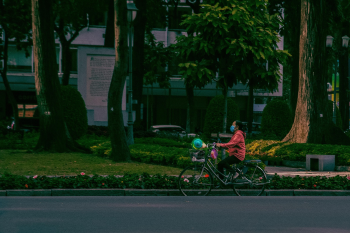 Lái xe đạp, nghệ thuật, lao động, đường phố, giản dị, người lao động, thành phố, labor, street, simple, worker, city- Vien_beos
