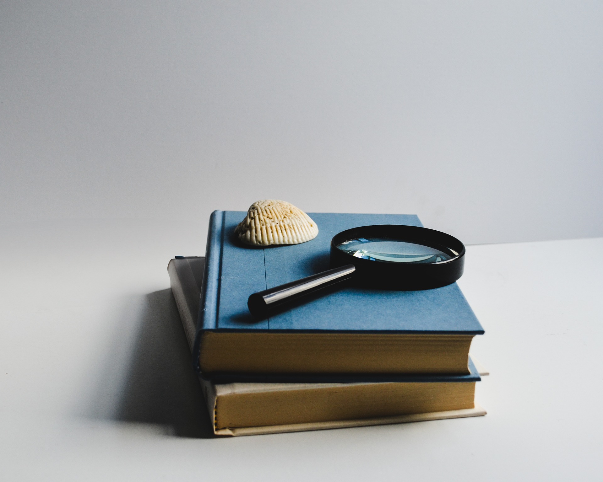 Sách, book, nhật kí, notebook- hudsoncrafted 2