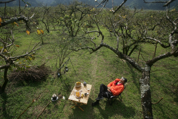 Cấm trại, khói, bàn ăn, rượu, trái cây, Camping, smoke, dining table, wine, fruit- xuanduongvan87 1