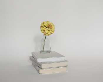 Sách, book, nhật kí, notebook- hudsoncrafted 17