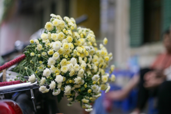 Xe đạp hoa, giỏ hoa, Hà Nội, flower bicycle, flower basket, Hanoi- xuanduongvan87 3