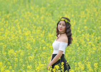Cô gái, hoa cải, sương mù, đồng cỏ,Girl, rape flower, fog, meadow- ThuyHaBich