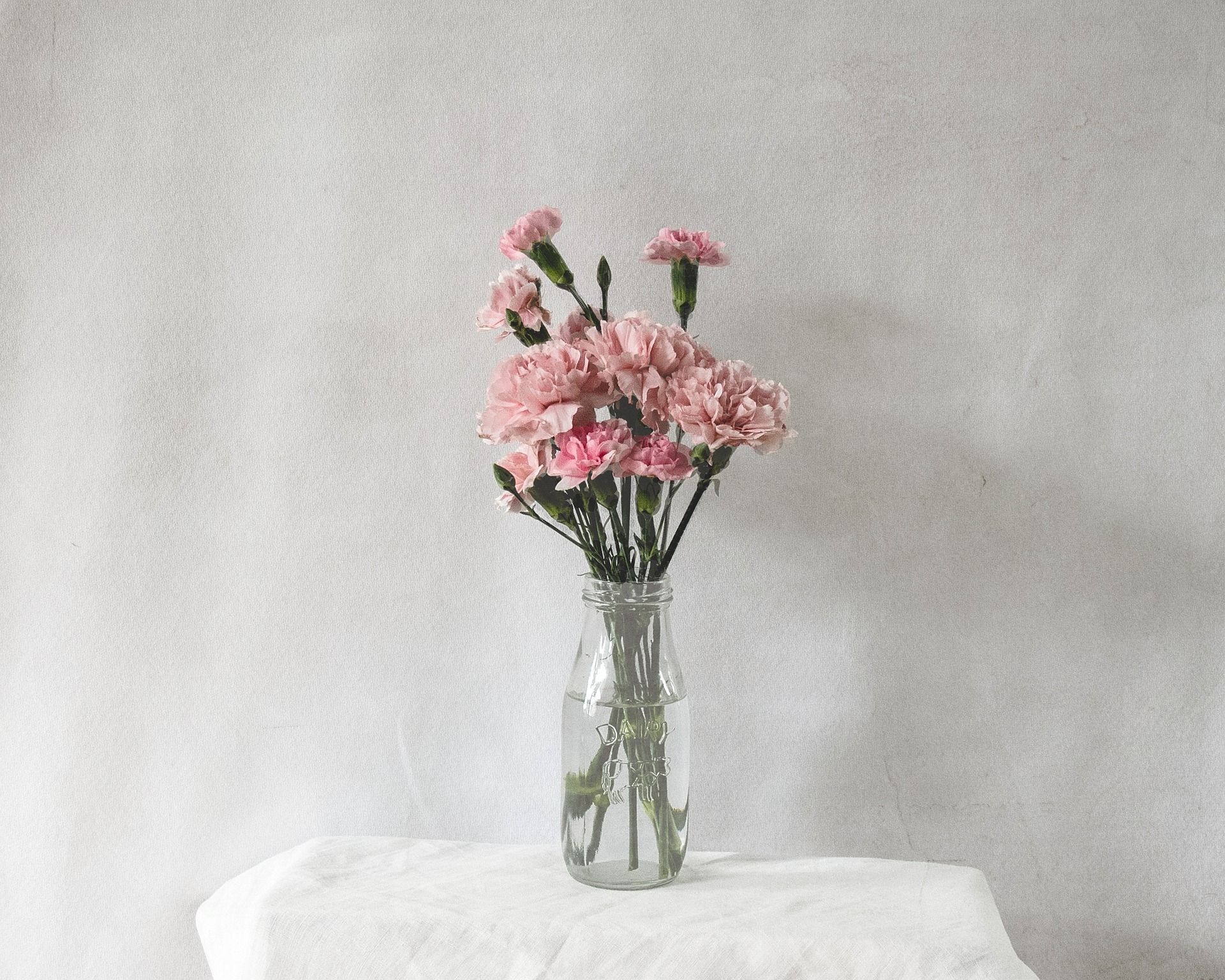 Hoa cẩm chướng, hoa, flower, bình hoa, lọ hoa, flower pot- hudsoncrafted