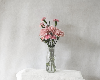 Hoa cẩm chướng, hoa, flower, bình hoa, lọ hoa, flower pot- hudsoncrafted