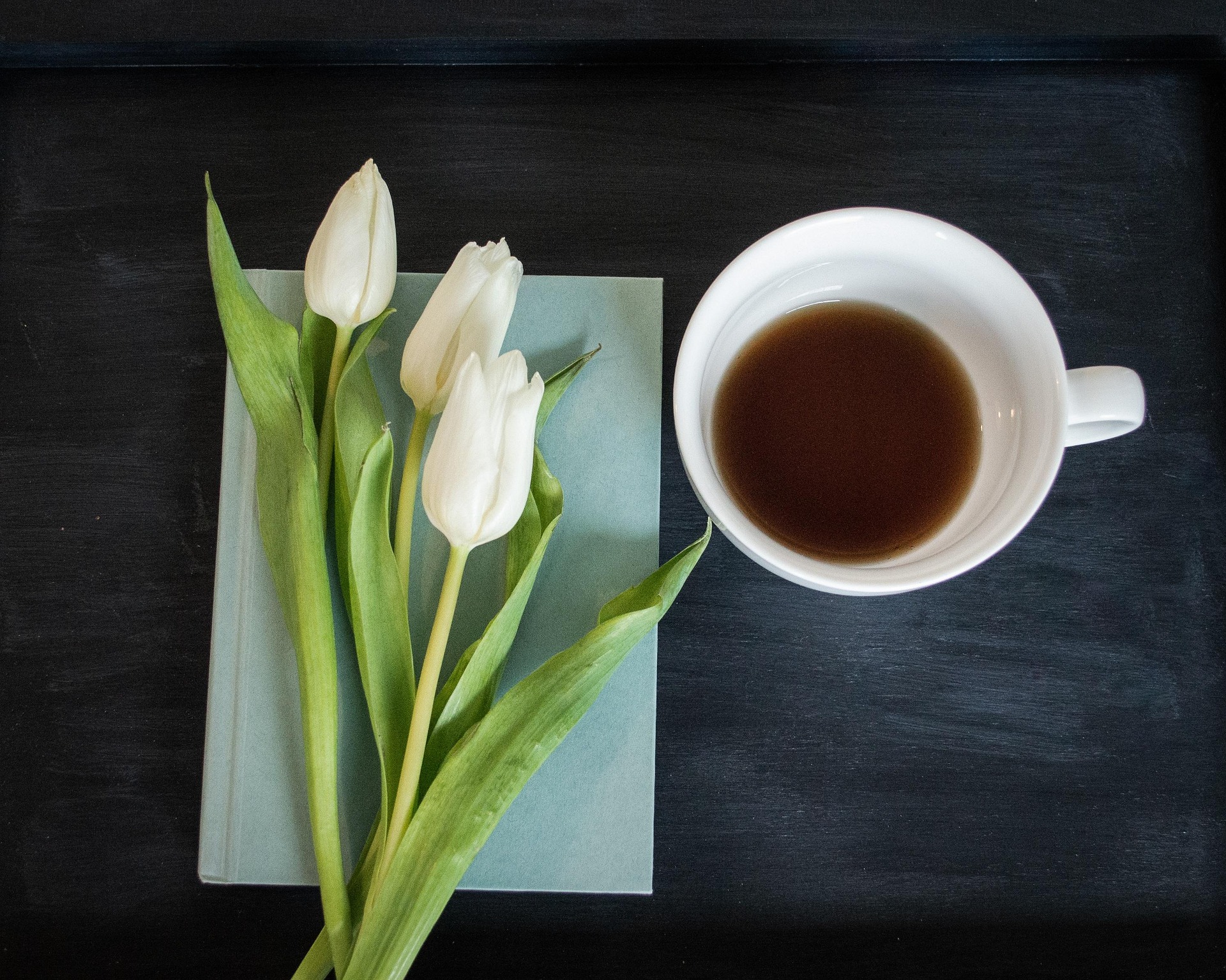 Tulip, sách, book, nhật kí, notebook, hoa, flower- hudsoncrafted 2