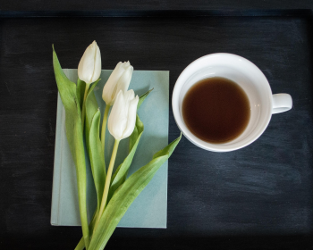 Tulip, sách, book, nhật kí, notebook, hoa, flower- hudsoncrafted 2