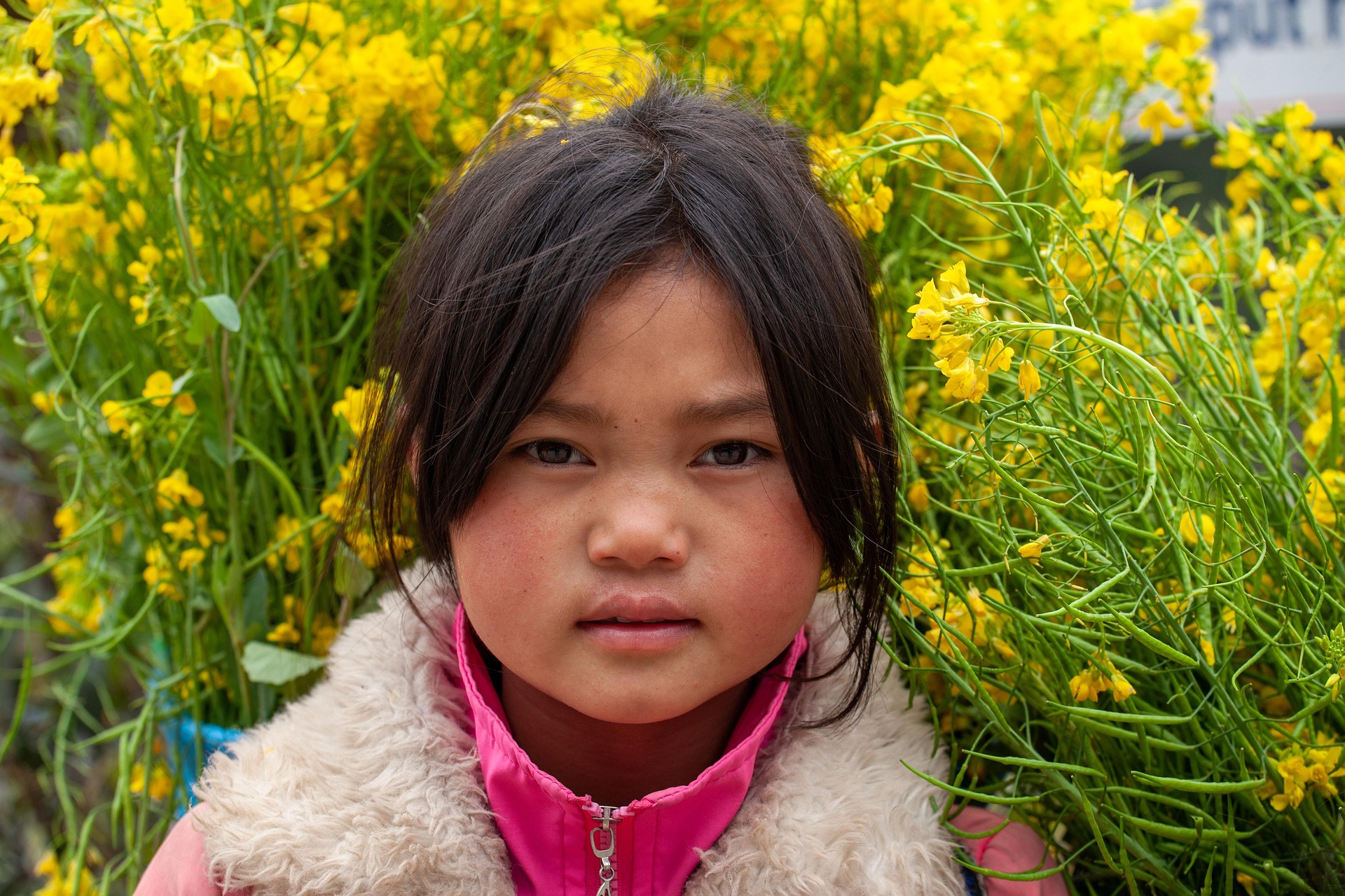 Trẻ em, bé gái, girl, em bé, vùng cao, miền núi, dân tộc, children, babies, highlands, mountainous areas, ethnic groups - xuanduongvan87 5