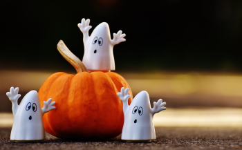 Halloween, con ma, dễ thương, lễ hội hóa trang, bí đỏ, ghost, cute, carnival, pumpkin - Alexas_Fotos
