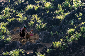 Mẹ, Em bé, Cánh đồng, Mother, Baby, Field, miền núi, vùng cao, mountain, highland - MinhChuyen_1