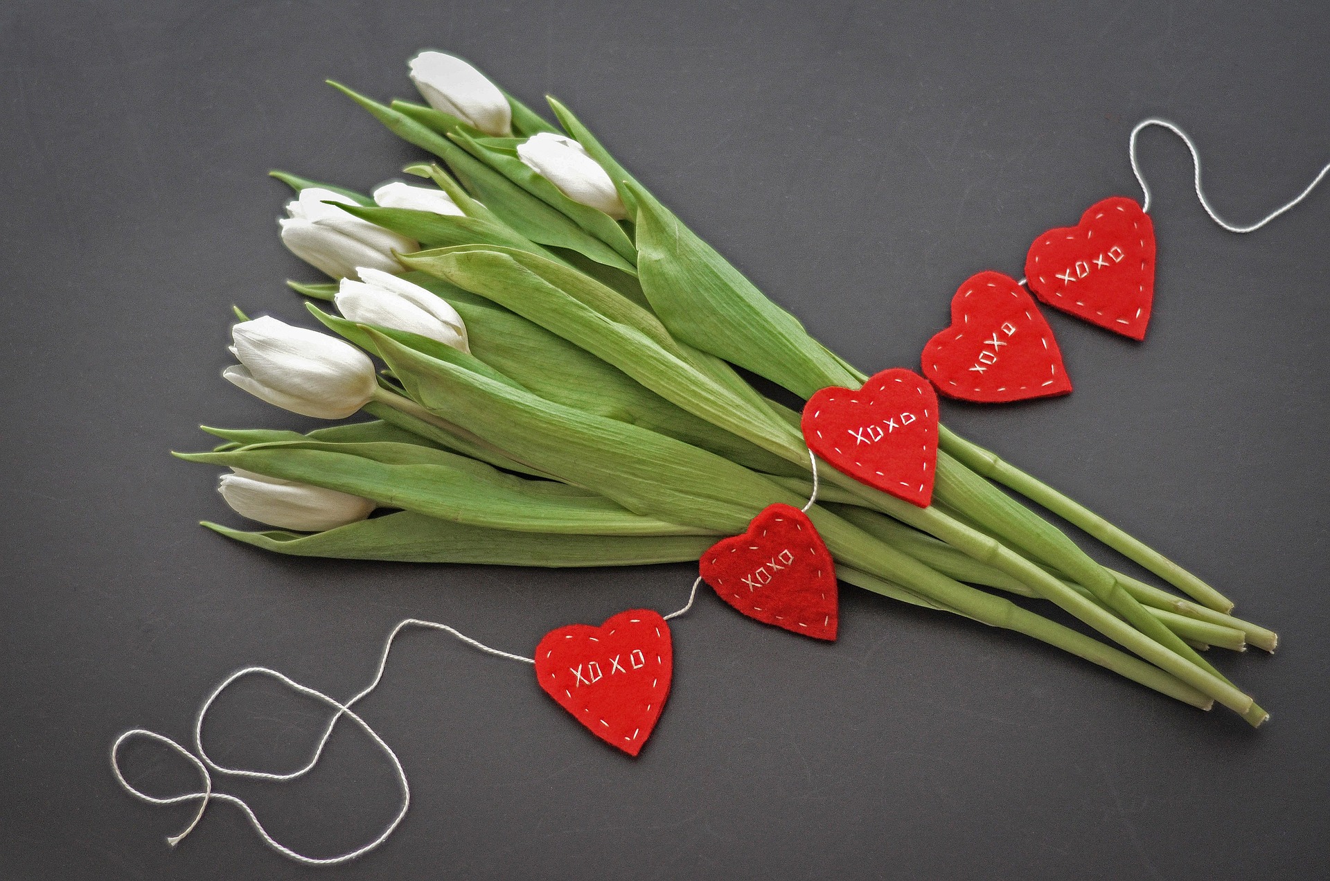 Tulip, sách, book, nhật kí, notebook, hoa, flower- hudsoncrafted 6