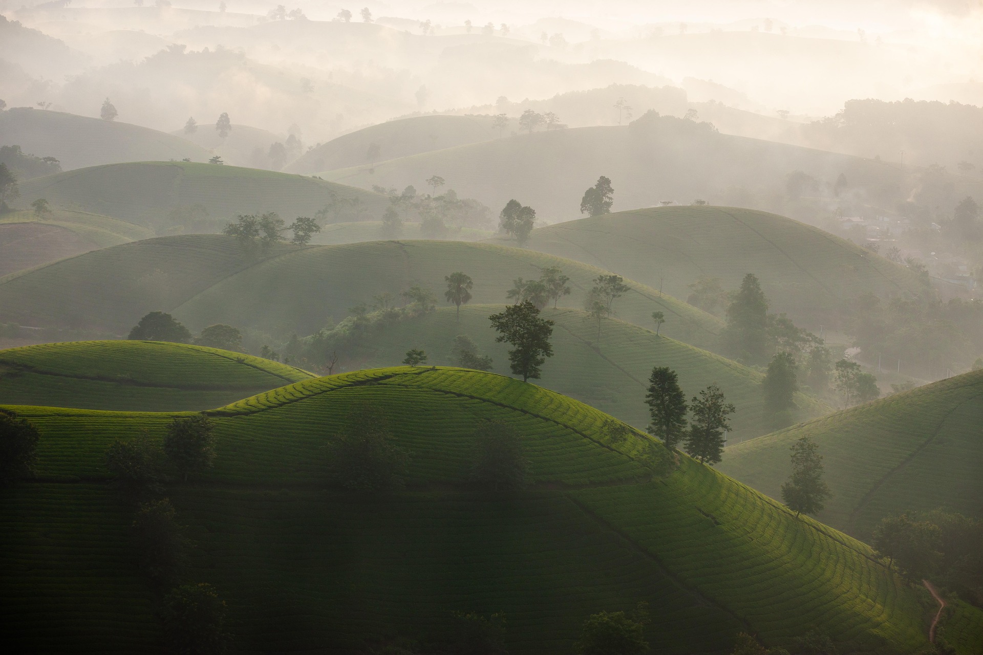 Núi, mây, sương mù, mountains, clouds, fog- xuanduongvan87 1