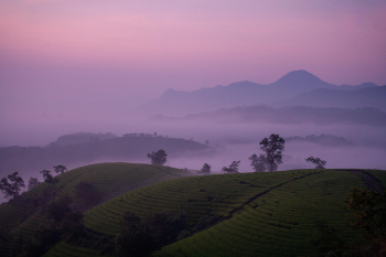 Núi, mây, sương mù, mountains, clouds, fog- xuanduongvan87 3