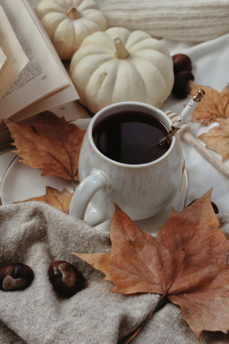 Halloween, ly, cốc sứ, đồ uống, bí đỏ trang trí, cà phê, không khí halloween, cup, ceramic cup, beverage, decorative pumpkin, coffee, halloween atmosphere -yasminizm 2