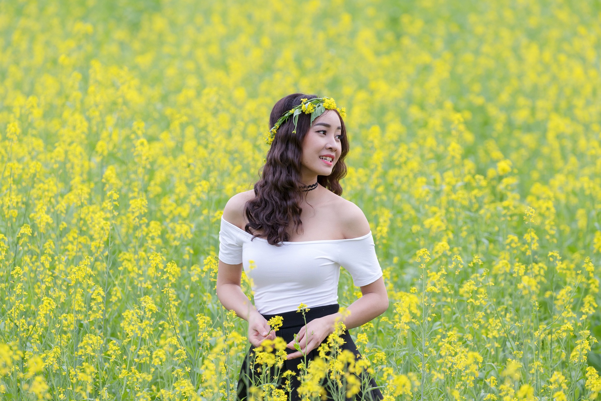 Cô gái, hoa cải, sương mù, đồng cỏ,Girl, rape flower, fog, meadow- ThuyHaBich 6