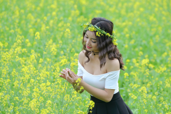 Cô gái, hoa cải, sương mù, đồng cỏ,Girl, rape flower, fog, meadow- ThuyHaBich 7