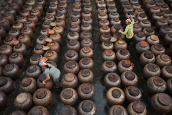Làm mắm, làng nghề, cái lu, làng nghề thủ công, craftvillage, making fish sauce, craft village, jar- xuanduongvan87 1