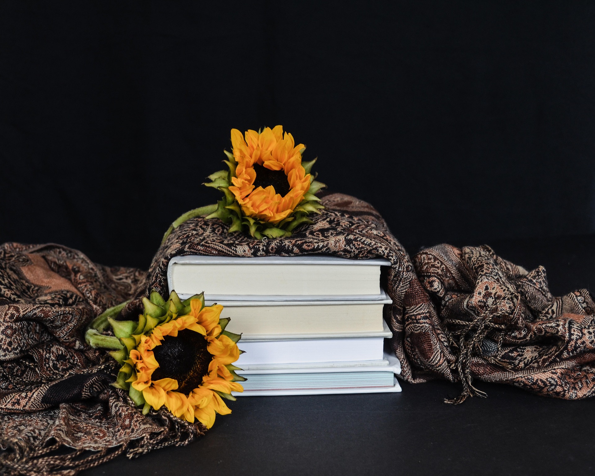 Sách, book, nhật kí, notebook- hudsoncrafted 14