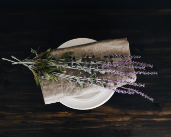 Hoa oải hưởng, lavender, hoa, flower- hudsoncrafted 1