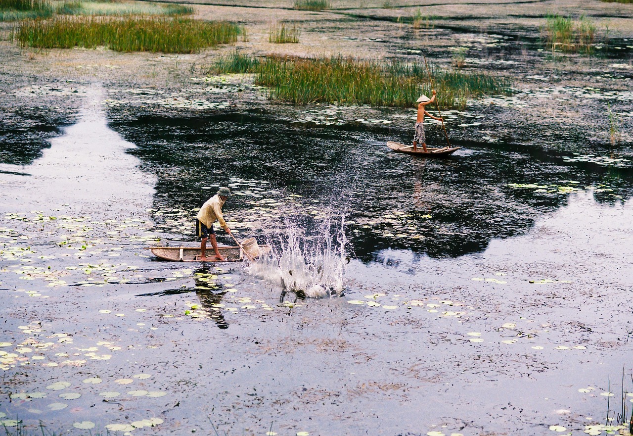 Hồ, thuyền, lưới cá, Ninh Bình, lake, boat- xuanduongvan87