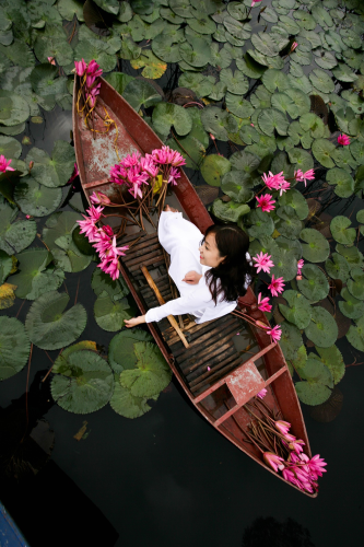 Cô gái, nữ, girl, women, áo dài, hoa súng, hoa, water lily, flower- xuanduongvan87 1