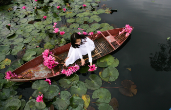 Cô gái, nữ, girl, women, áo dài, hoa súng, hoa, water lily, flower- xuanduongvan87 3
