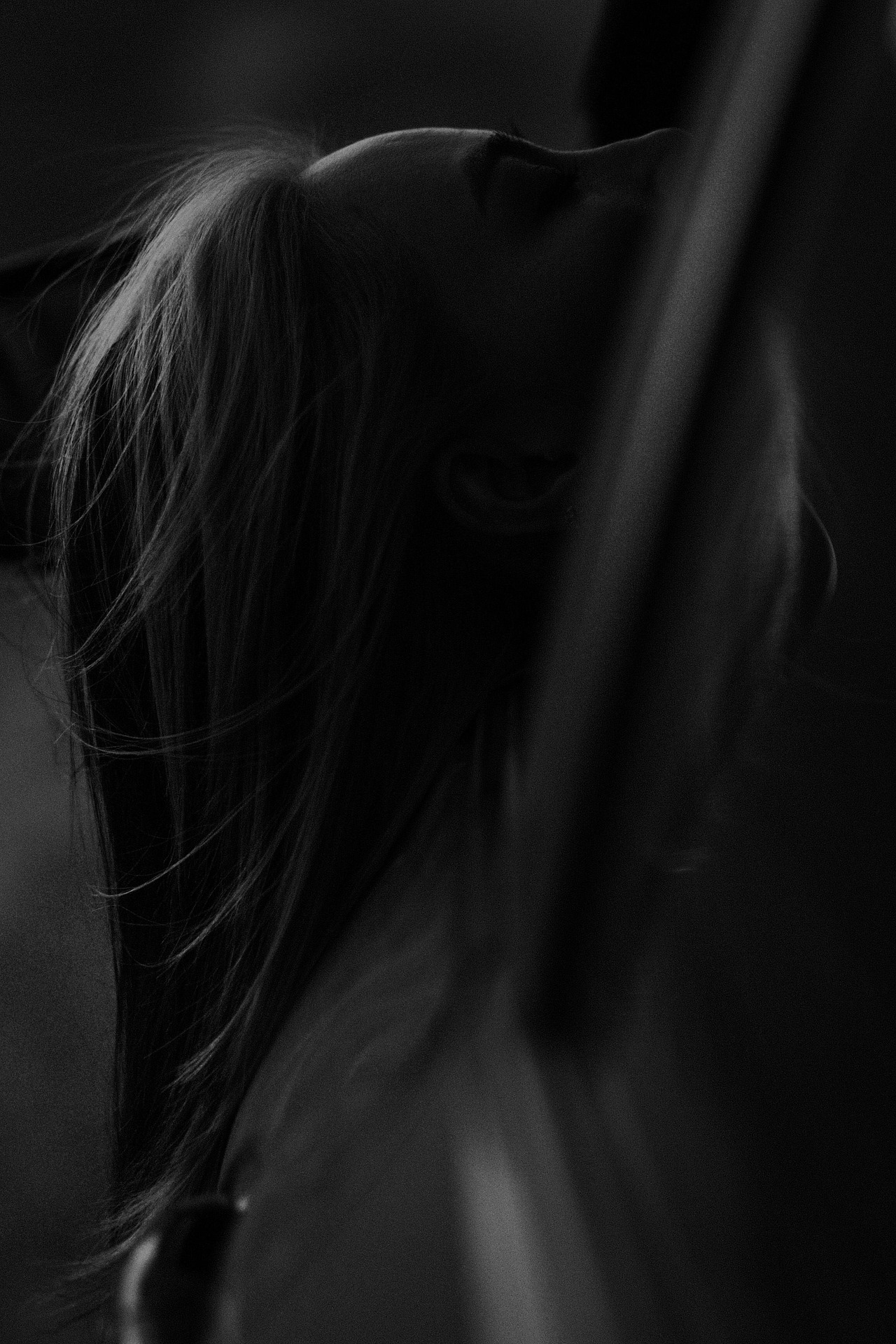 Nữ, gái, girl, cowboy, woman, model, mẫu ảnh, nghệ thuật, dark, tối- Jupilu 15