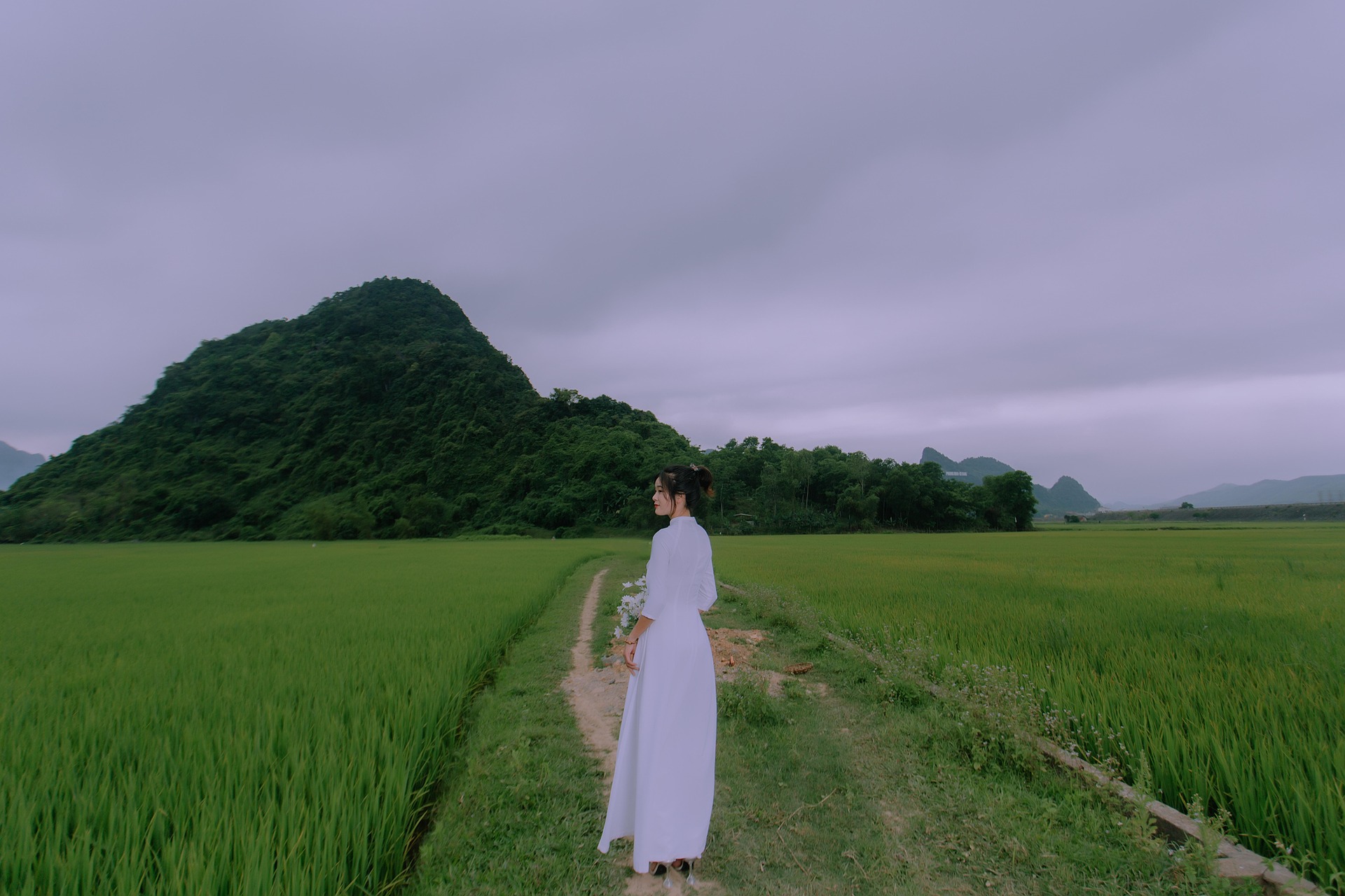 Cô gái, phụ nữ, nữ, girl, woman, beauty, áo dài, cánh đồng- LoiTran97 3