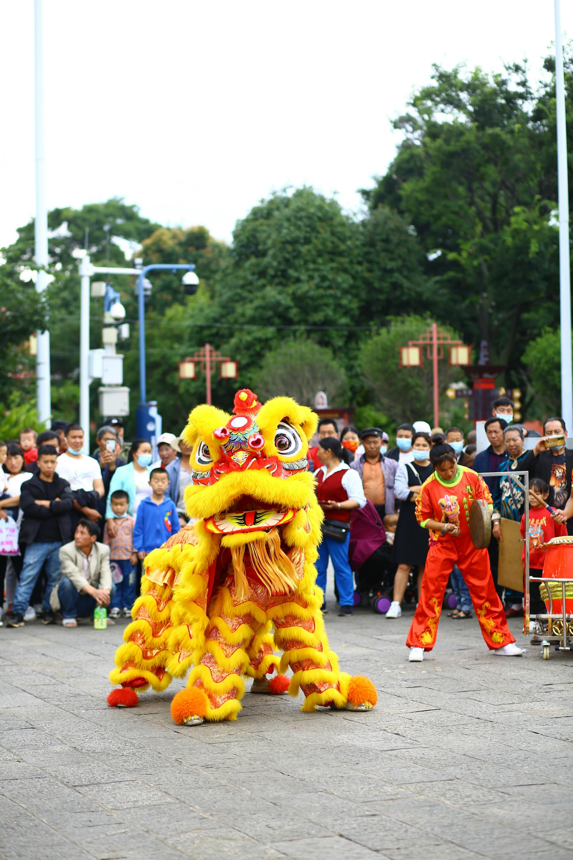 Lân, múa lân,  lion dance, tết, xuân, spring- Andy Lee 3
