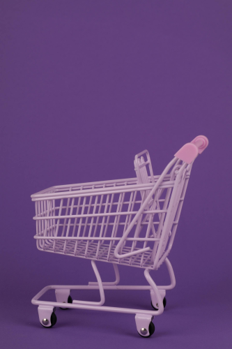 Giỏ hàng, xe đẩy, giảm giá, sale, khuyến mãi, shopping cart, cart, promotions, discounts- Ann H 5