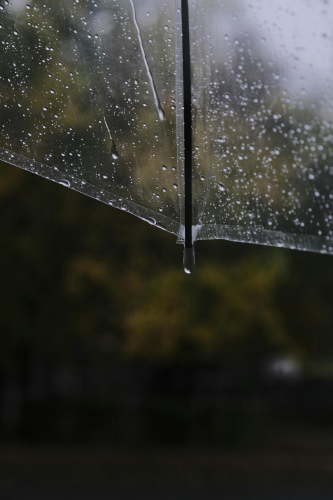 Dù, mưa, hạt mưa, giọt nước, rain, raindrops, water drops - Khadijah Karaca