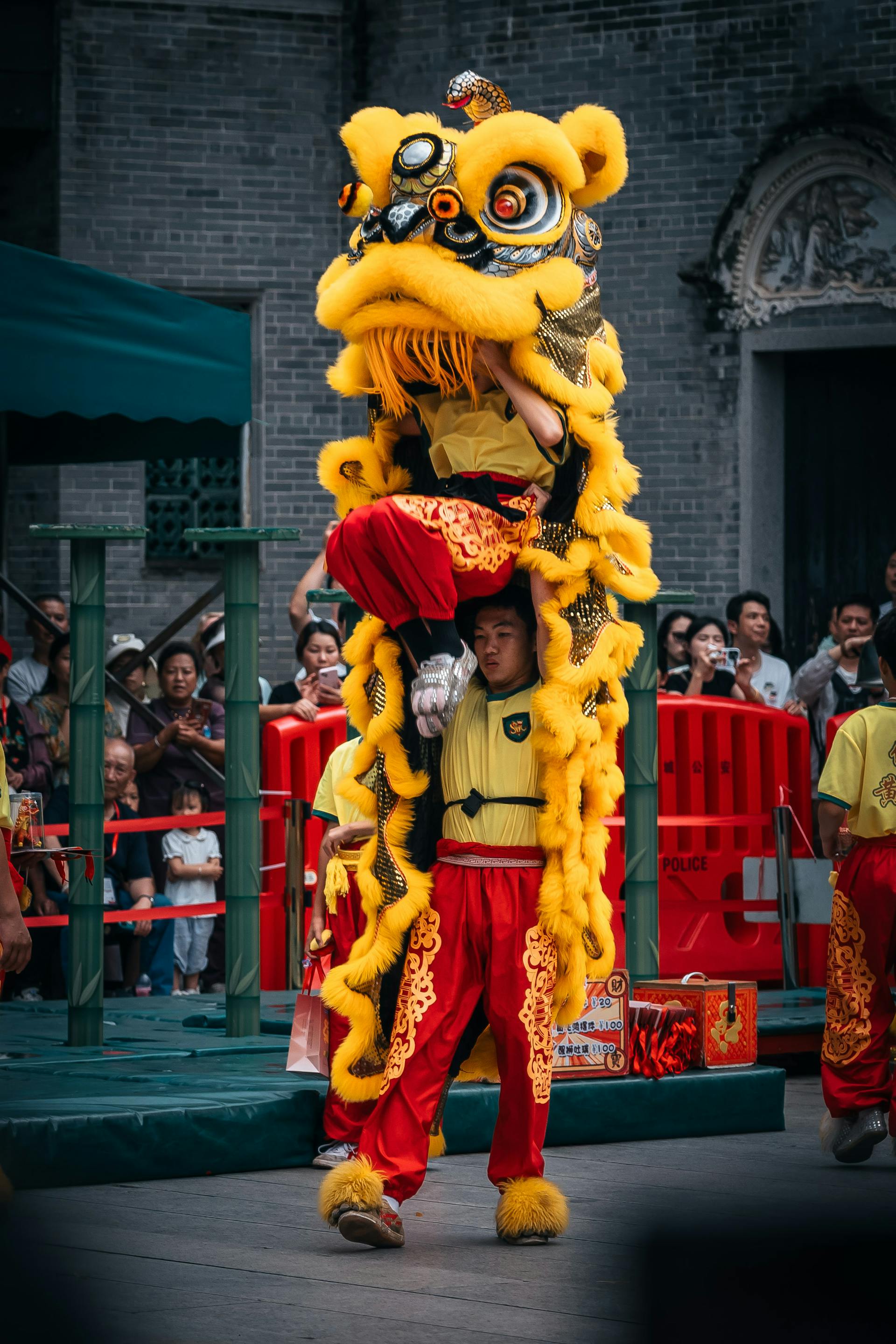 Lân, múa lân,  lion dance, tết, xuân, spring- Neil Ni