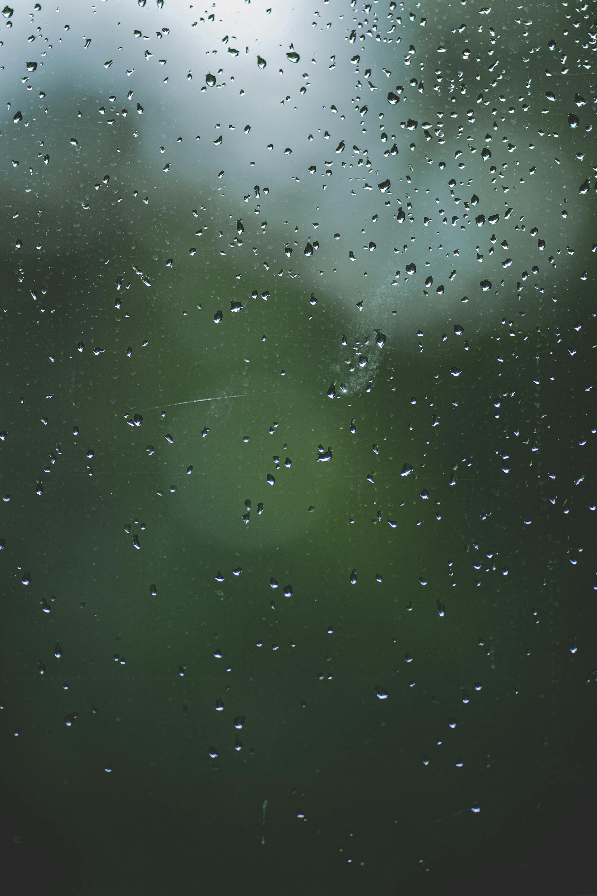 Mưa, hạt mưa, giọt nước, rain, raindrops, water drops - Omar Ramadan