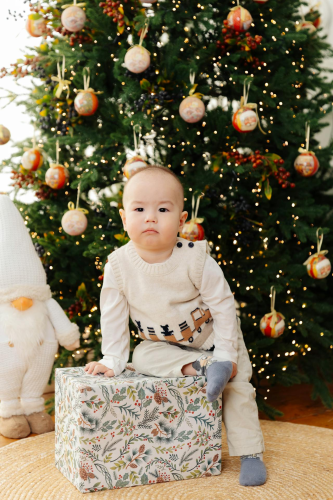 Em bé, trẻ em, bé trai, chụp giáng sinh, hộp quà, baby, children, boy, Christmas photography, gift boxes -  21zere 7