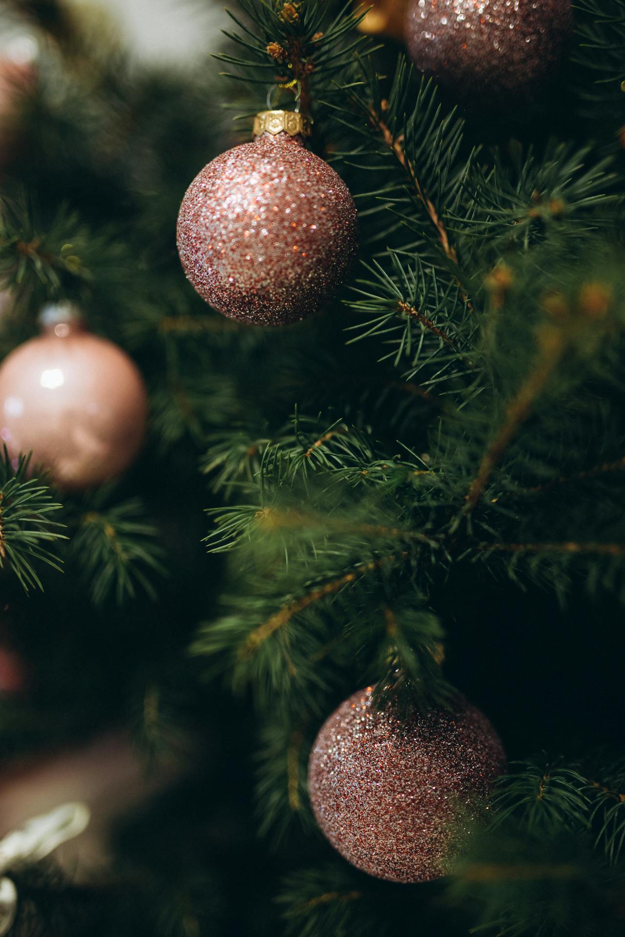 Trái châu, cây thông, trang trí, không khí giáng sinh, christmas balls, christmas tree, decoration, christmas atmosphere- Alena Yanovich