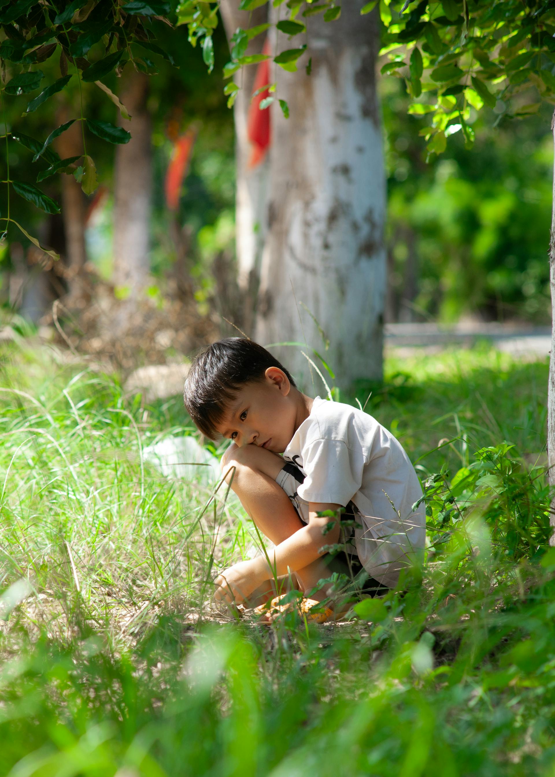 Bé trai, trẻ em, tuổi thơ, đồng ruộng, boy, child, childhood, field- C.T. PHAT 2