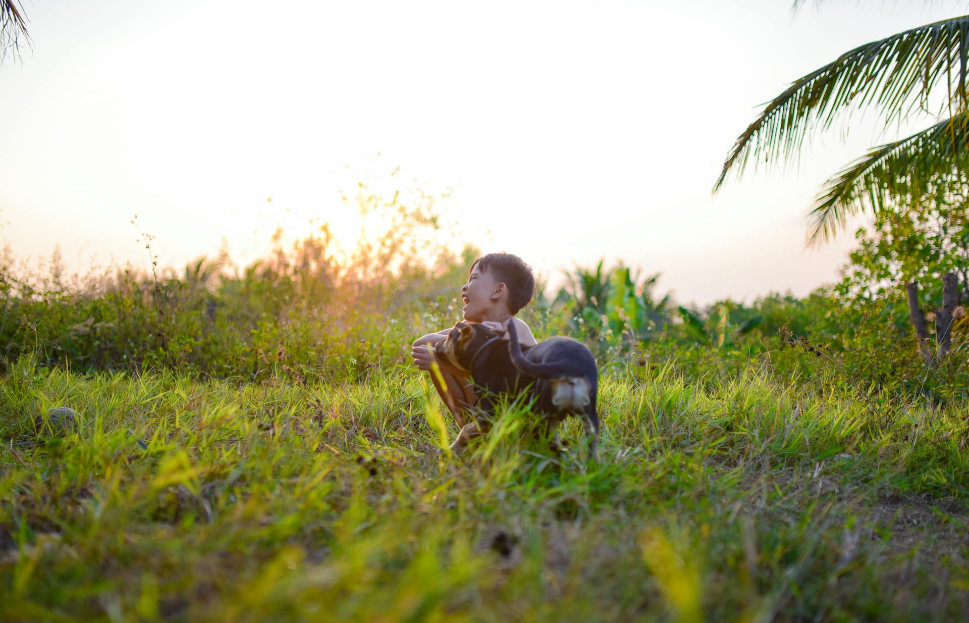 Bé trai, trẻ em, tuổi thơ, đồng ruộng, boy, child, childhood, field- C.T. PHAT 7