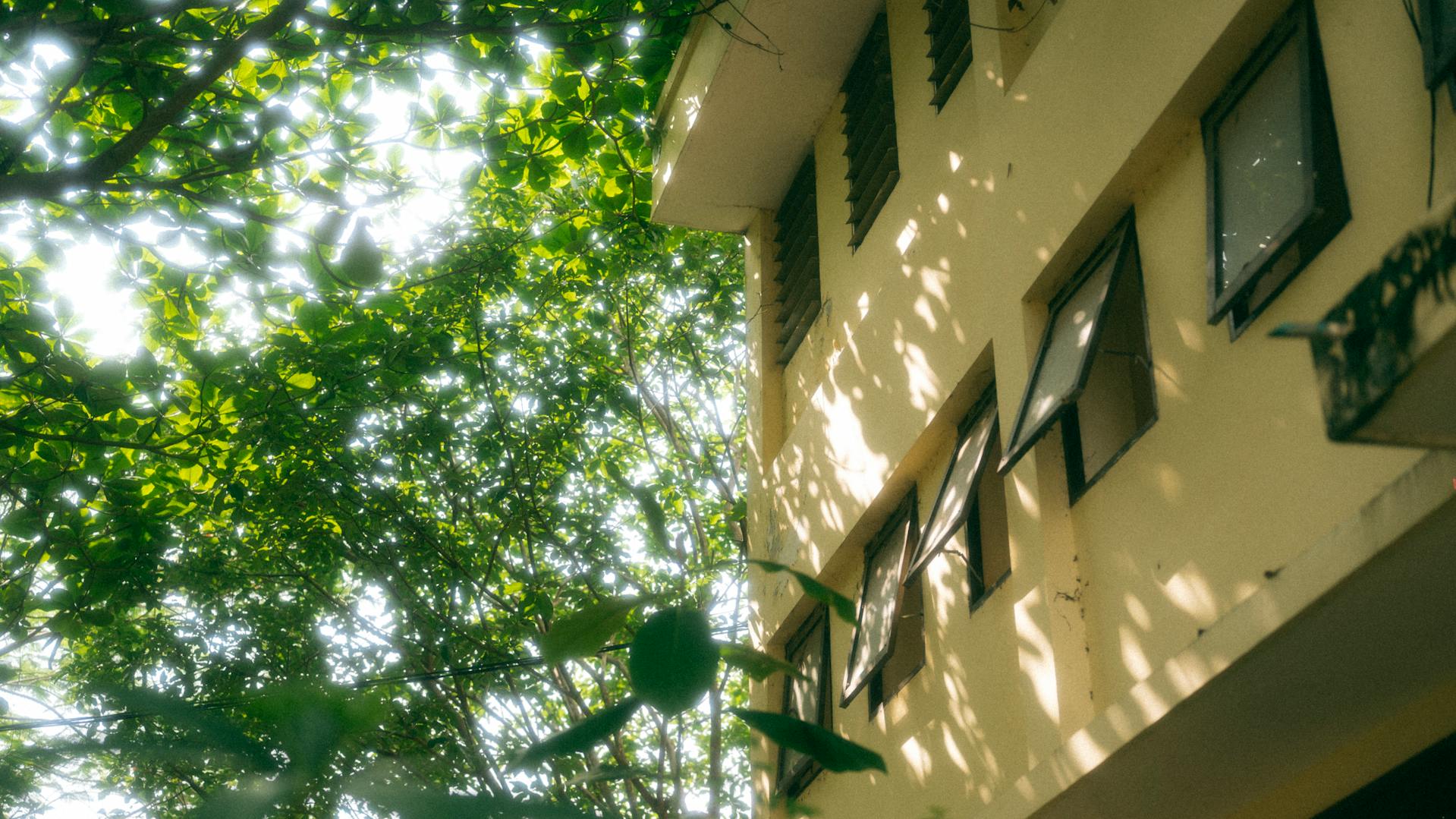 Trường học, school,  trường cấp 3, giáo dục, education, thanh xuân, tuổi trẻ, Việt Nam - chuotanhls 4