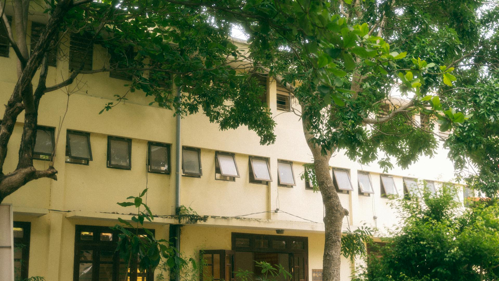 Trường học, school,  trường cấp 3, giáo dục, education, thanh xuân, tuổi trẻ, Việt Nam - chuotanhls 1