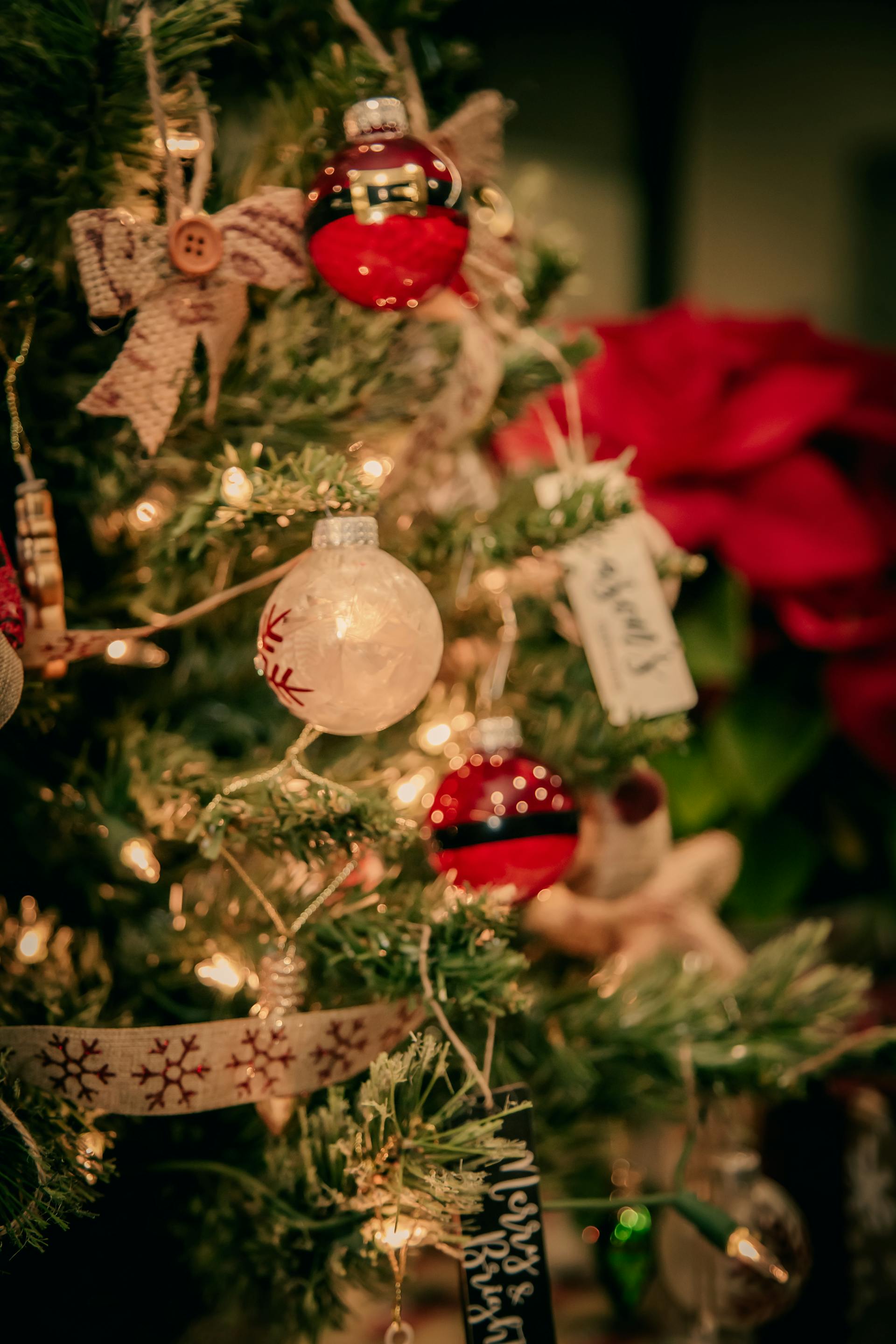 Trang trí, cây thông, giáng sinh, pine, decor, christmas, merry christmas, xmas - BARIŞ KARANLIK