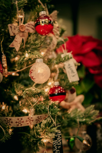Trang trí, cây thông, giáng sinh, pine, decor, christmas, merry christmas, xmas - BARIŞ KARANLIK