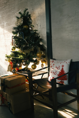 Giáng sinh, cây thông, trang trí, christmas, pine tree, decoration, noel- Dũng phạm 1